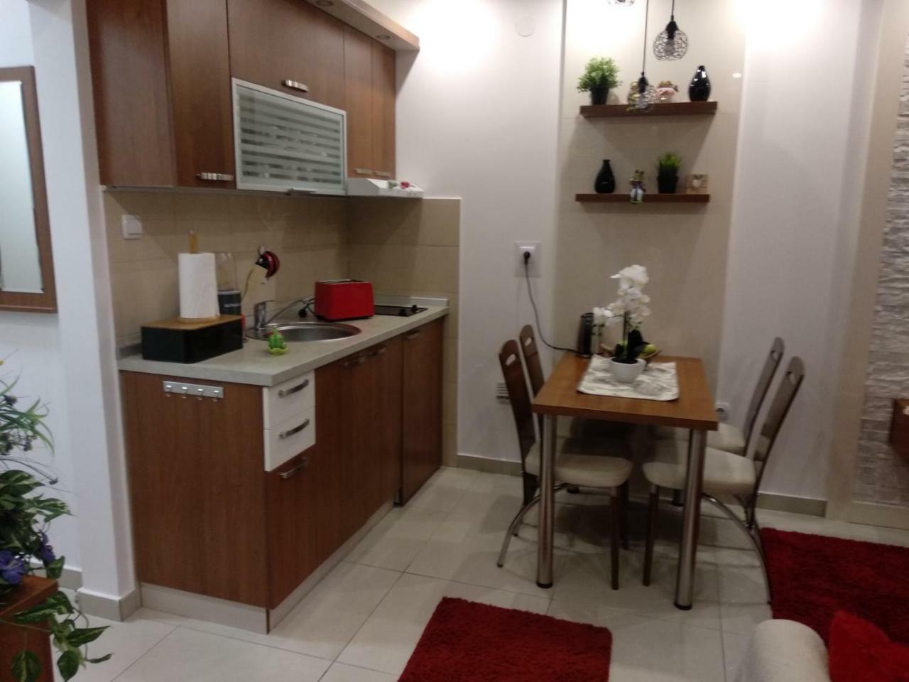 Vesna Apartman Vrnjačka Banja 외부 사진